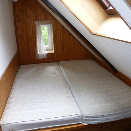 Penzion Pod Studenovem Rokytnice nad Jizerou Luaran gambar